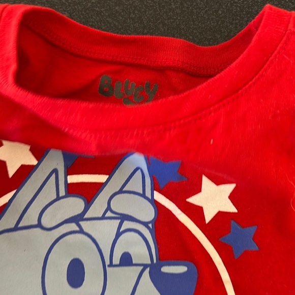 Nickelodeon Red and Blue Cartoon Character Tee BLUEY - Picture 2 of 2